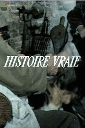 Histoire vraie's poster