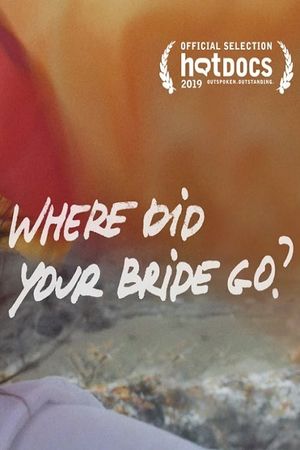 Where Did Your Bride Go?'s poster image