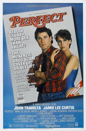 Perfect's poster