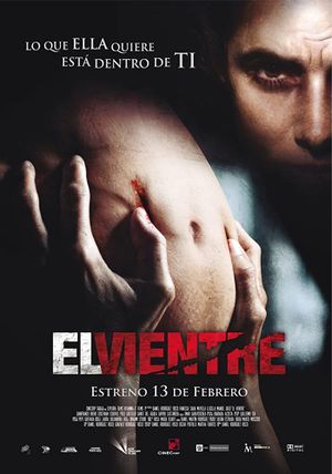 El Vientre's poster