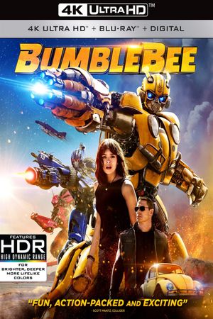 Bumblebee's poster