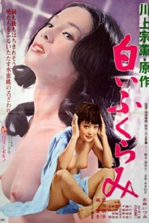 Shiroi fukurami's poster