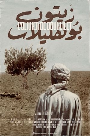 The Olive tree of Boul'hivet's poster