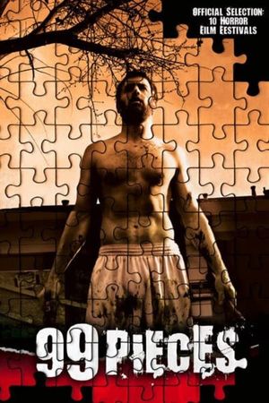 99 Pieces's poster image