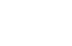 Parnell's poster
