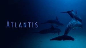 Atlantis's poster