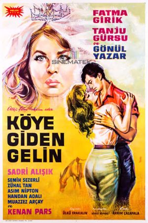 Köye giden gelin's poster