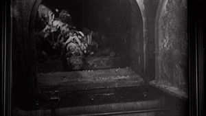 Imaginary Witness: Hollywood and the Holocaust's poster