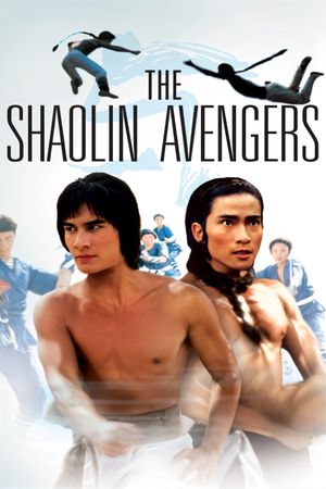 The Shaolin Avengers's poster