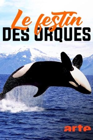 Norvège : le festin des orques's poster