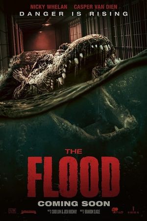 The Flood's poster