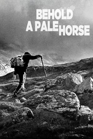 Behold a Pale Horse's poster