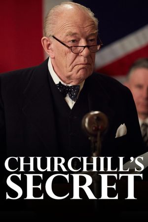 Churchill's Secret's poster