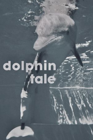 Dolphin Tale's poster