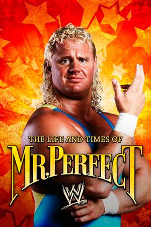 The Life and Times of Mr. Perfect's poster