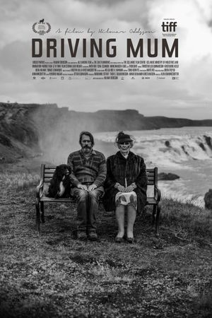Driving Mum's poster