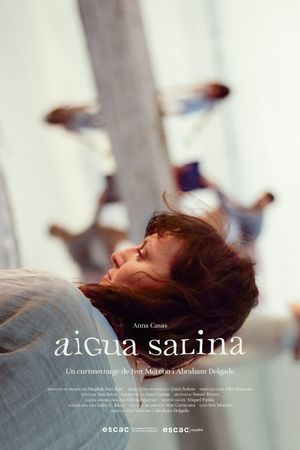 Aigua Salina's poster