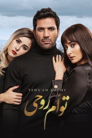Soul Mate's poster