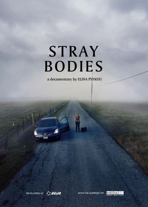 Stray Bodies's poster
