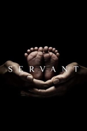 The Servant's poster