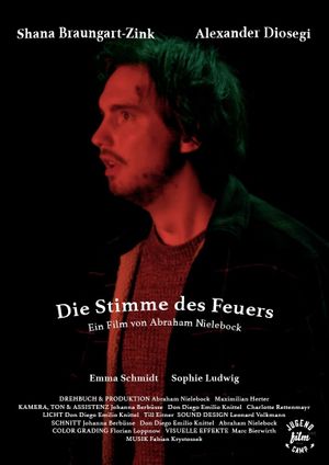 Die Stimme des Feuers's poster