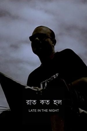 Late in the Night's poster