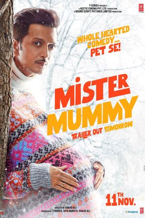 Mister Mummy's poster