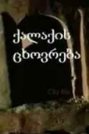ქალაქის ცხოვრება's poster