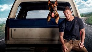 Dog's poster