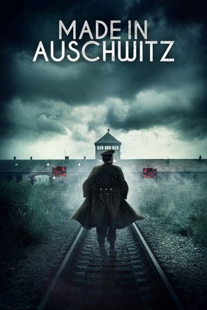 Made in Auschwitz: The Untold Story of Block 10's poster