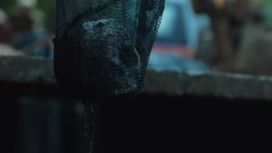 Sector 36's poster