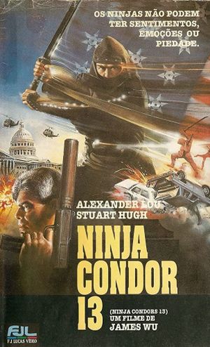 Ninja Condor 13's poster