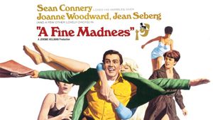 A Fine Madness's poster