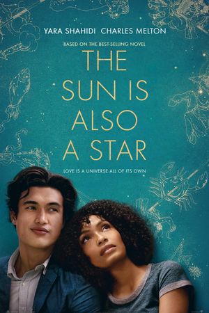 The Sun Is Also a Star's poster