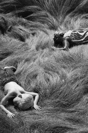 Tracking Satyrs's poster