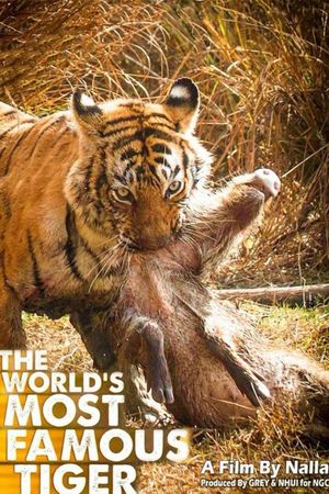 The World's Most Famous Tiger's poster