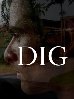 DIG's poster image