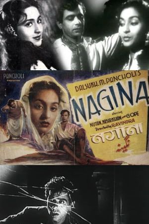 Nagina's poster