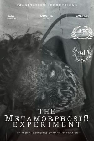 The Metamorphosis Experiment's poster