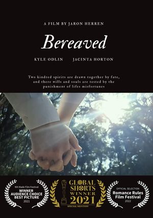 Bereaved's poster image