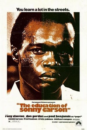 The Education of Sonny Carson's poster