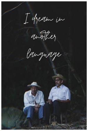 I Dream in Another Language's poster
