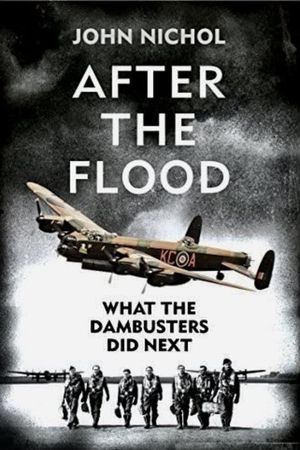 What the Dambusters Did Next's poster