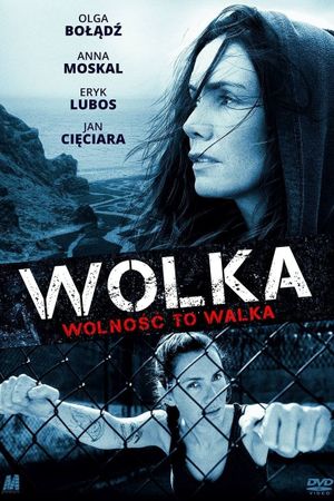 Wolka's poster