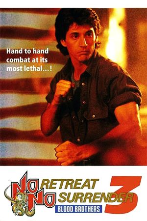 No Retreat, No Surrender 3: Blood Brothers's poster