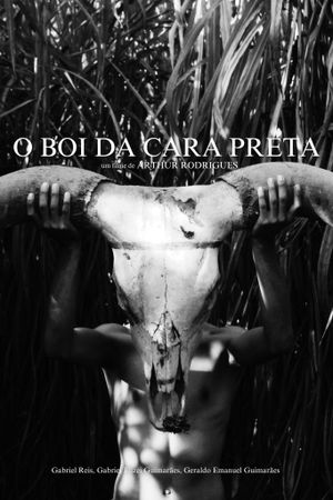 O Boi da Cara Preta's poster