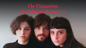 Os Pássaros de Massachusetts's poster