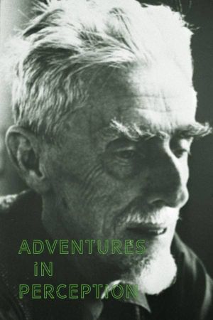 Adventures in Perception's poster