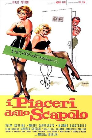 I piaceri dello scapolo's poster