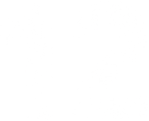 12's poster